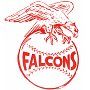 Jamestown Falcons