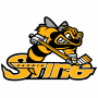 Sarnia Sting