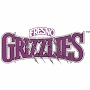 Fresno Grizzlies