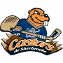 Sherbrooke Castors