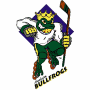 Anaheim Bullfrogs