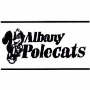 Albany Polecats