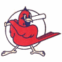 Macon Redbirds