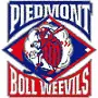 Piedmont Boll Weevils