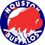 Houston Buffalos