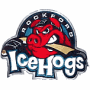 Rockford IceHogs