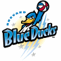 Lakeland Blue Ducks