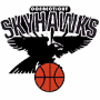 Connecticut Skyhawks