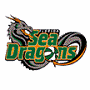 Florida Sea Dragons