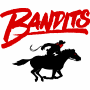 Tampa Bay Bandits