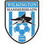 Wilmington Hammerheads