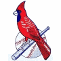 Rock Hill Cardinals