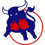 Birmingham Bulls