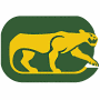 Chicago Cougars