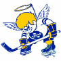 Minnesota Fighting Saints