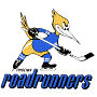 Phoenix Roadrunners