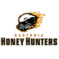 Gastonia Honey Hunters