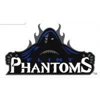 Flint Phantoms