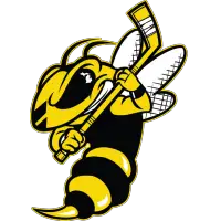 Battle Creek Rumble Bees