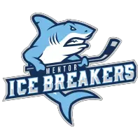 Mentor Ice Breakers