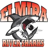 Elmira River Sharks