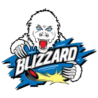 Brookings Blizzard