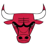 Chicago Bulls