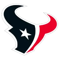 Houston Texans