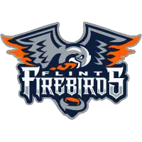 Flint Firebirds